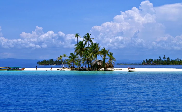 San Blas Islands green coconut palm tree lot Travel trees 2k 4k