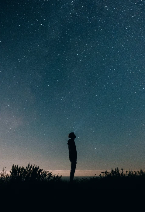silhouette of person between grass under black sky star headlamp 2k