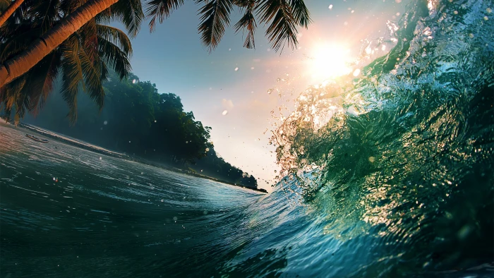 Wave wallpaper ocean palms sun 2k 4k