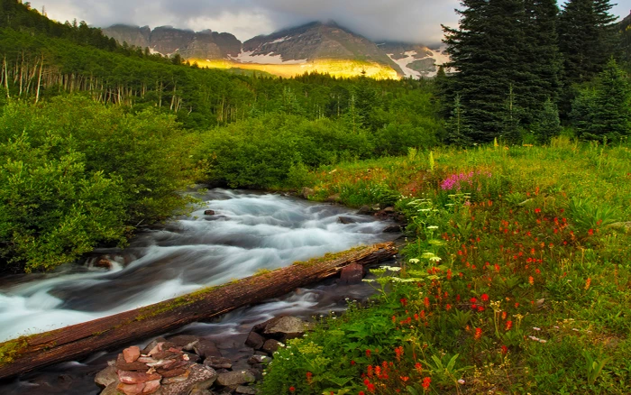 Beautiful Scenery And Mountainous River Flowers Green Trees Vegetation Hd Wallpapers 2k 4k