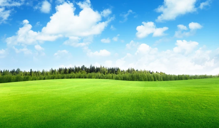 beautiful clouds field grass landscape nature sky trees 2k 4k