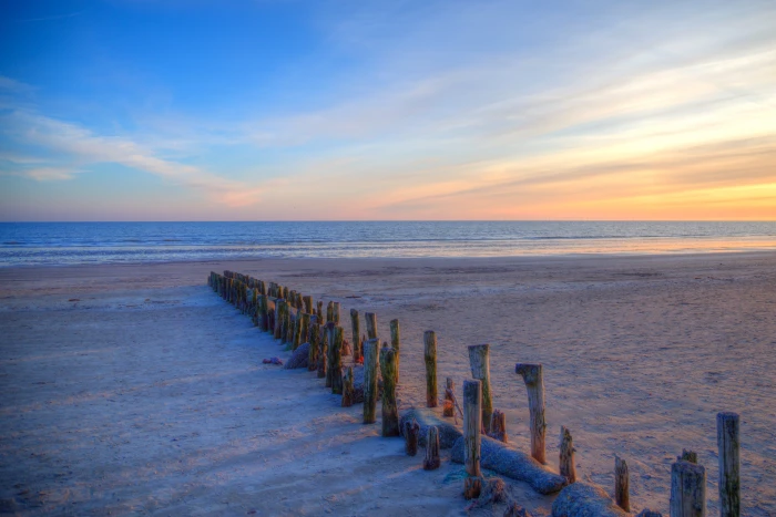 brown wood logs on seashore during golden hour Long Shadows 2k 4k 5k