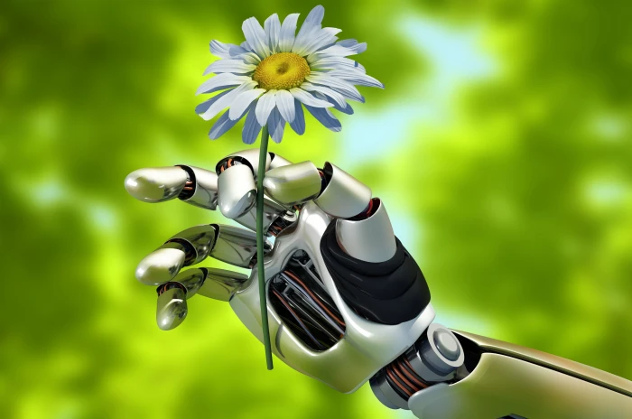 Daisy flower summer macro nature mechanism robot hand blur 2k 4k 5k