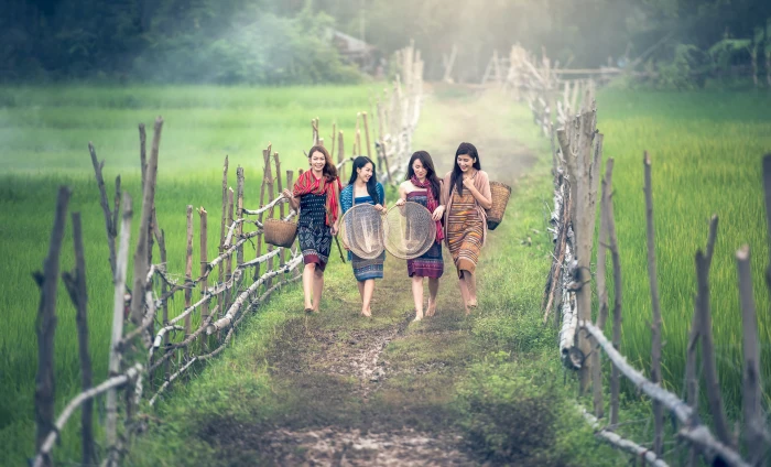 four women walking through rice field carrying brown wicker baskets 2k 4k 5k