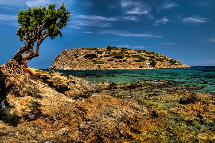 green leaf tree near body of water mochlos crete 2k