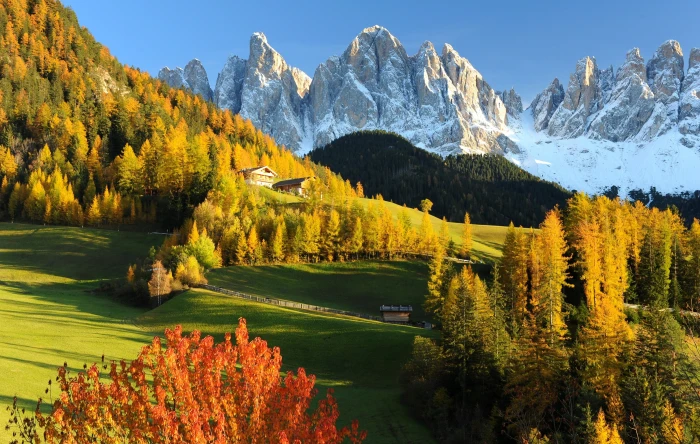 green leafed trees Nature Mountains Autumn Forest Alps Meadow 2k