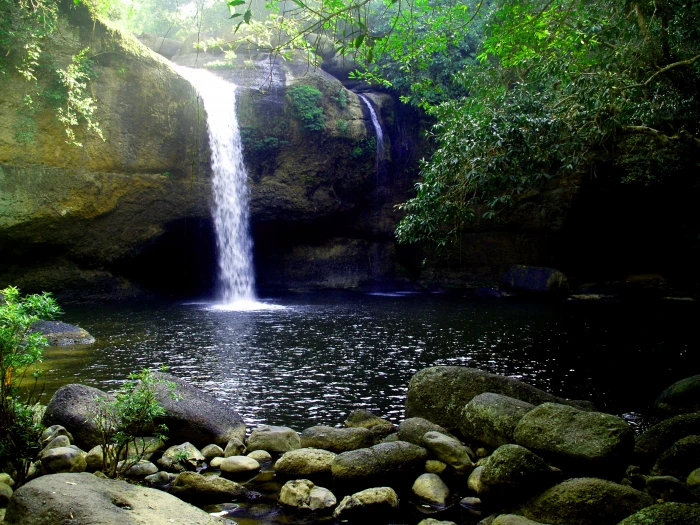 landscape nature sunny water background beautiful colors 2k