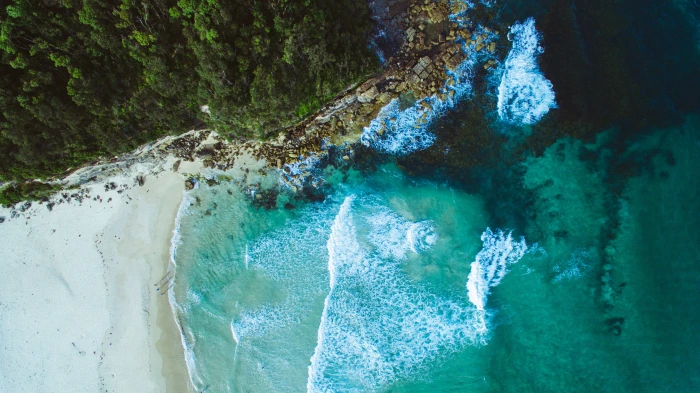 aerial photo of white seashore nature water beach trees beauty in 2k 4k