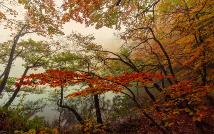 Autumn Landscape Nature National Park Plitvice Lakes Croatia Ultra Hd Wallpapers For Desktop Mobile Phones And Laptop 2k 4k