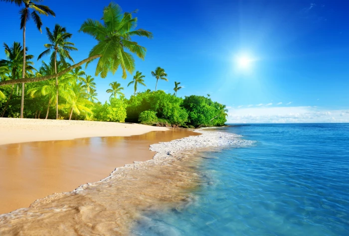 beachfront wallpaper palm trees sand sea island tropical 2k 4k 5k