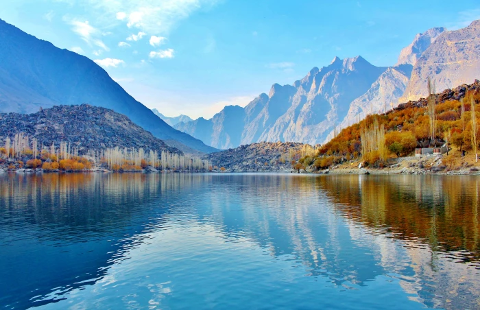 brown trees with lake during daytime blue ocean photography 2k 4k 5k