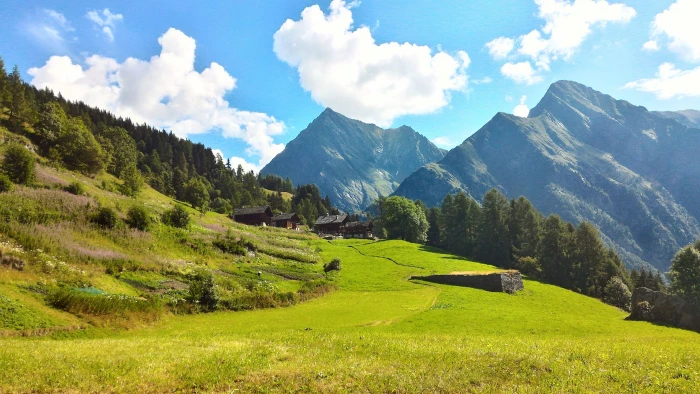 green grass field near mountains under blue sky during daytime 2k 4k