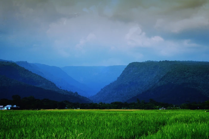 green grass field Landscape Sylhet Nature Hills cloud sky 2k 4k 5k