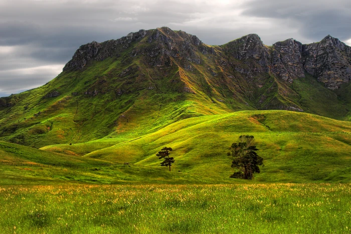 green grass on mountain under blue sky Solid Rock trees canon 2k 4k