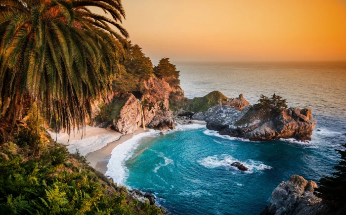 green leafed plants sea beach nature waves palm trees landscape 2k 4k