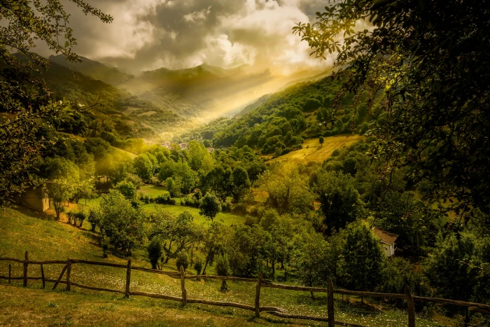 green leaves trees in mountain de landscapes lena asturias 2k