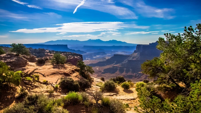 green trees near grand canyon during day time Goose Neck Trail 2k 4k