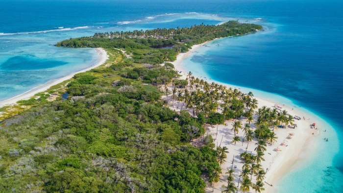 green trees nature ocean outdoors water beach coast sea 2k 4k