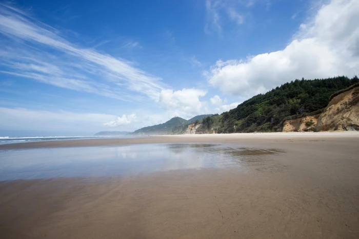 landscape photo of beach under cloudy sky nature water trees 2k 4k 5k