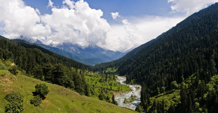 nature landscape valley Kashmir mountains forest grass 2k 4k