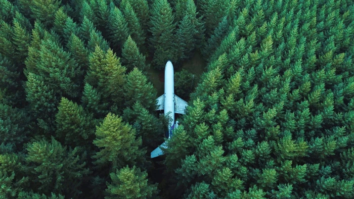 plane Forest Surrounded 2k 4k