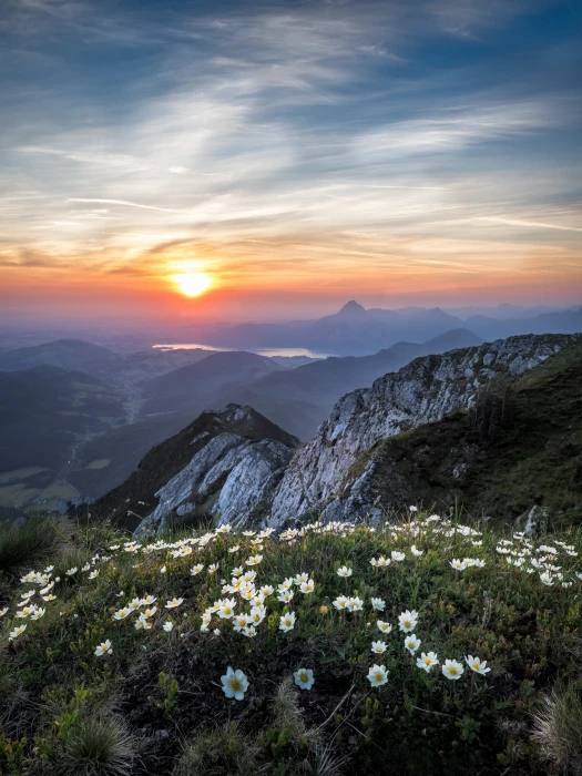 Scenic View of Mountains During Dawn wallpaper beautiful flowers 2k