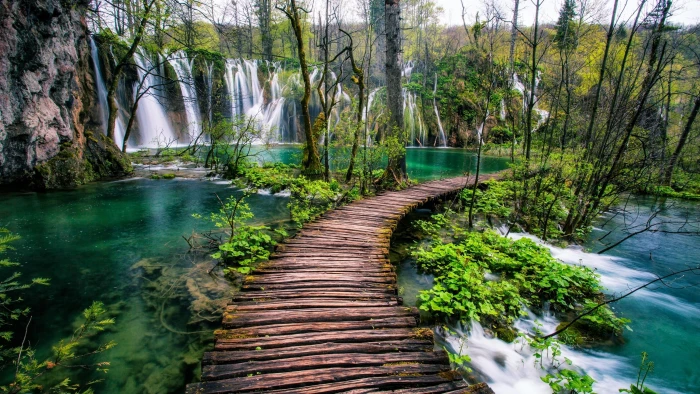 travel wood path national park plitvice lakes 2k 4k