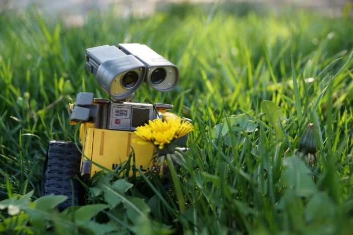 Wall E robot grass flower camera Photographic Equipment 2k 4k 5k