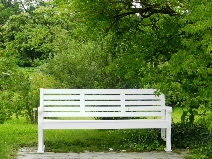white wooden bench under green leafy trees during daytime peace of mind 2k 4k