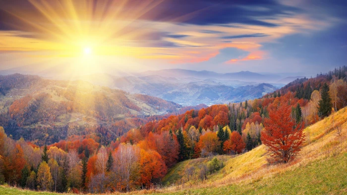 autumn HD wallpaper trees dawn mount coloring 2k 4k 5k