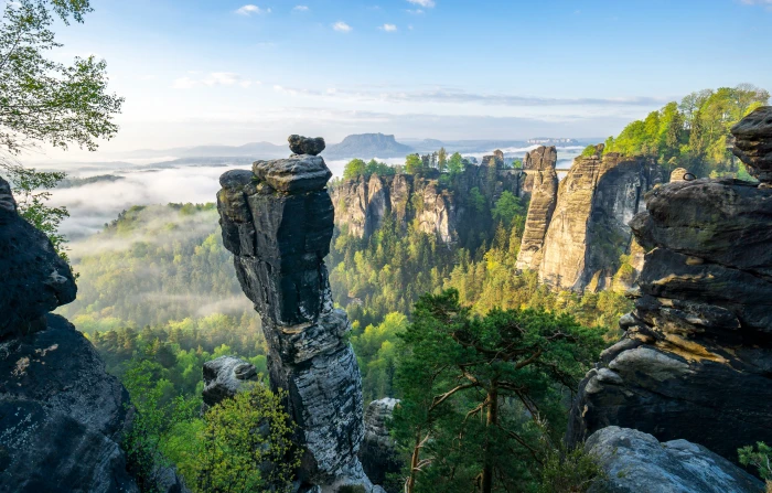 green leaf trees near mountain during daytime Bastei Elbsandsteingebirge 2k 4k
