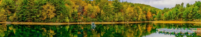 green leafed tree Massachusetts lake water sky reflection 2k 4k 5k