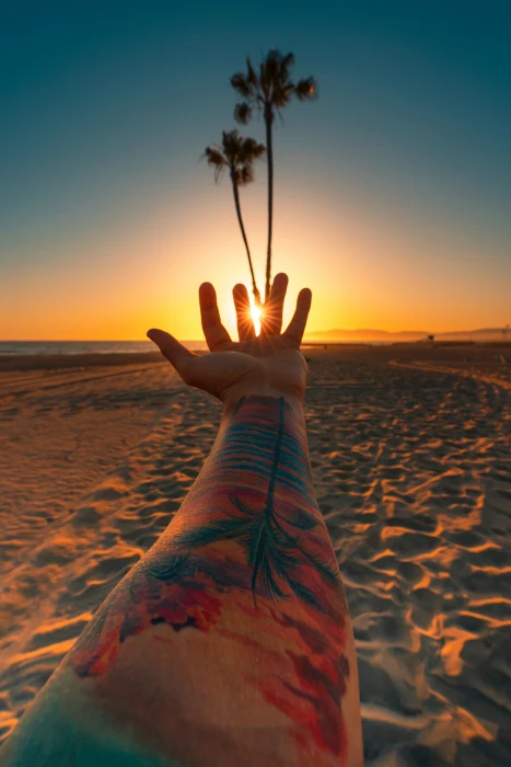 Jeff Kepler beach sunset tattoo palm trees sand flares 2k 4k