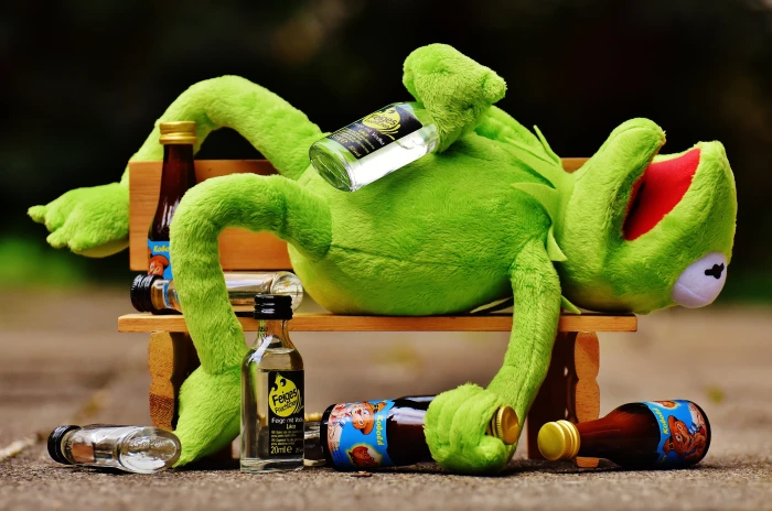 Kermit the Frog with glass bottles lying on wooden bench drink 2k 4k 5k