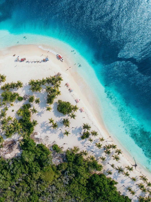 nature water beach trees sand top view aerial sea 2k