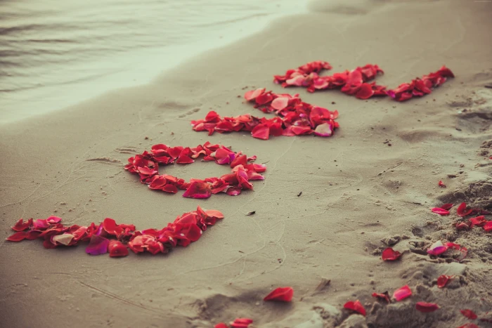 petals beach Shore sand love 2k 4k 5k