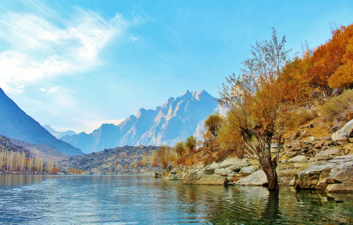 photography of nature Tree Lake Pakistan Landscape forest 2k 4k 5k