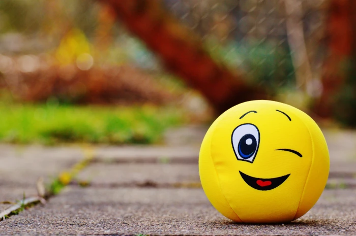 yellow emoji decorative ball smile happy toy nature autumn 2k 4k 5k