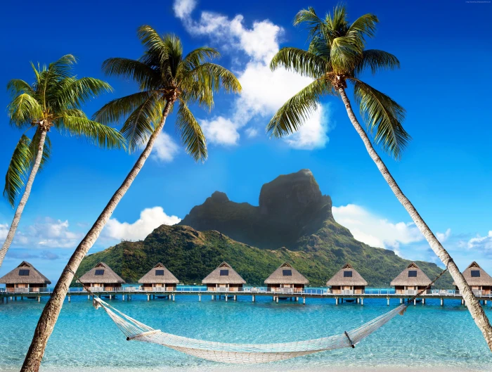 French Polynesia palm trees rest booking beach Bora 2k 4k 5k