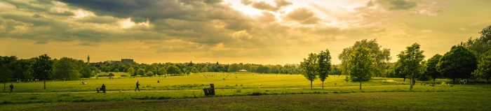 Green Grass Field during Sunset city park cloud clouds crop 2k 4k 5k 8k 10k