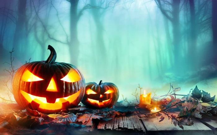 halloween celebrations holidays hd pumpkin 2k 4k 5k 8k