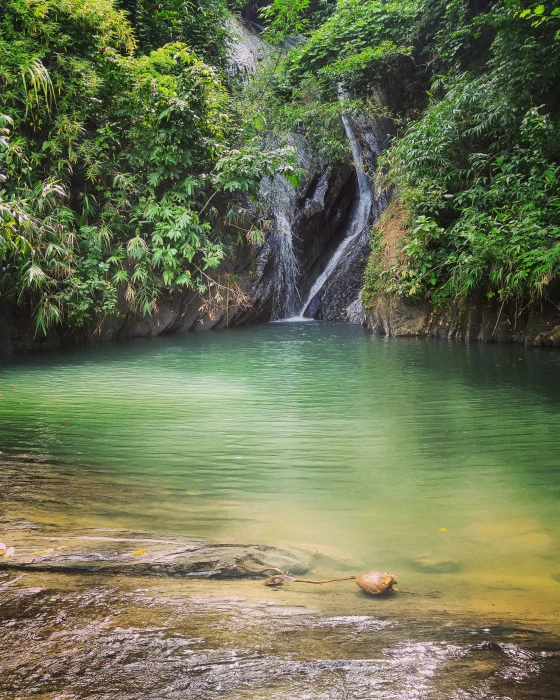 waterfall Bangladesh jungle nature scenics beauty in 2k