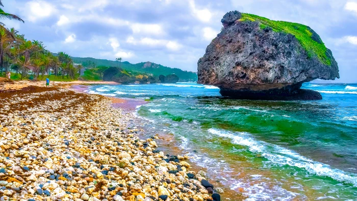 black and green rock on sea Bathsheba Monolith coral beach 2k 4k