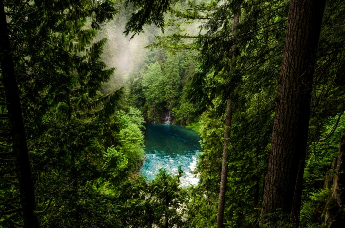 body of water and green leafed trees nature landscape lake 2k 4k 5k