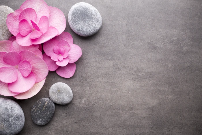 flowers stones pink spa zen rock solid beauty in nature 2k 4k 5k