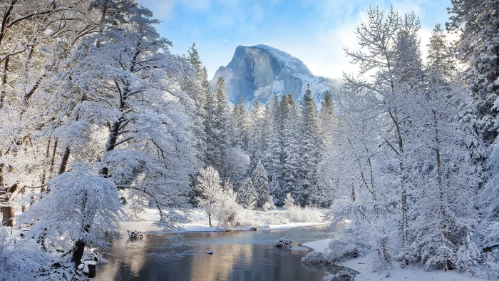 green leafed trees with snow landscape nature winter river 2k 4k