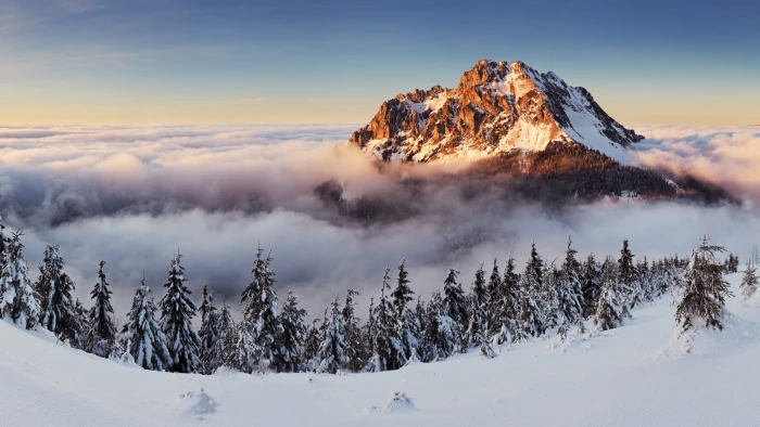 mountain range mountains forest snow winter fog 2k 4k 5k 8k