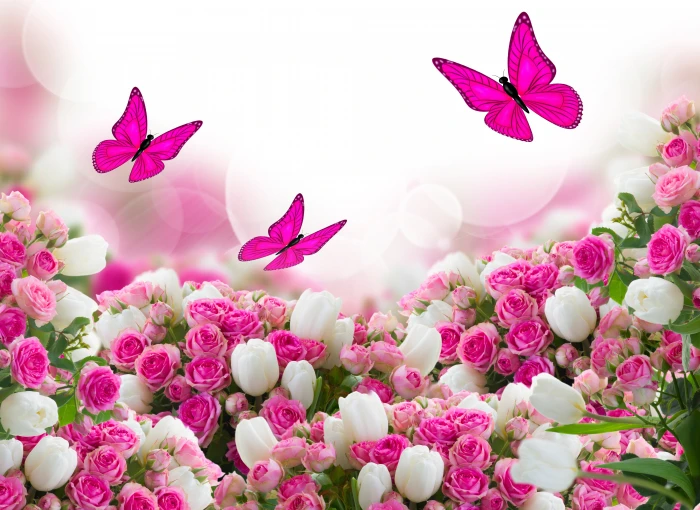 pink butterflies illustration butterfly flowers roses tulips 2k 4k 5k 8k