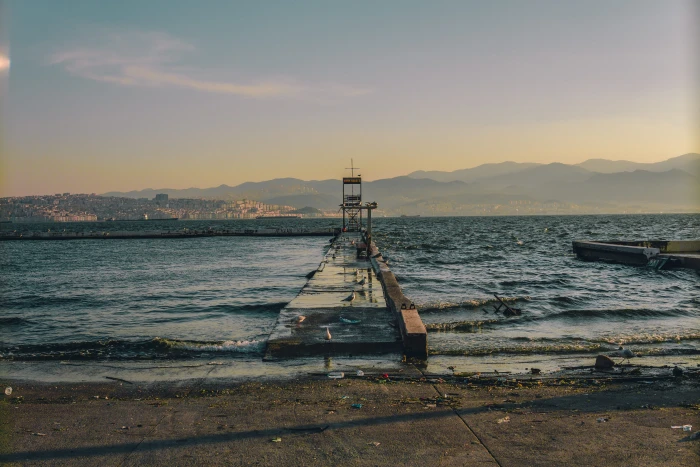 turkey izmir birds trend beach sunrise sunset life vibes 2k 4k 5k