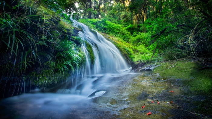 waterfall time lapse photo forest wallpaper rocks trees 2k 4k 5k
